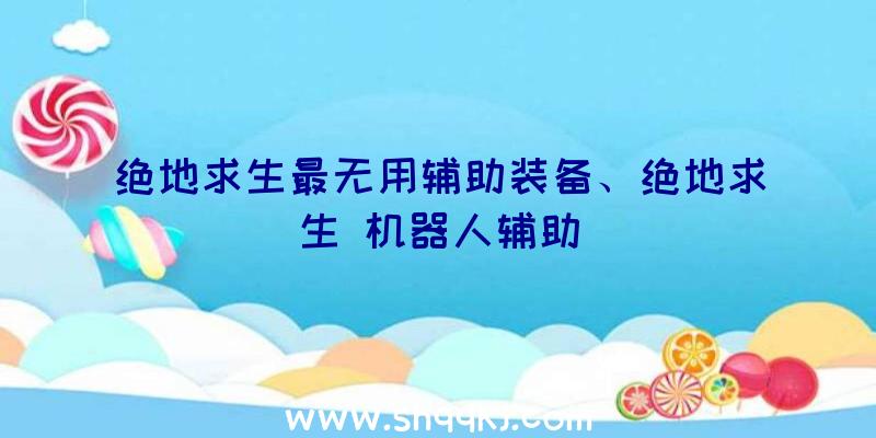 绝地求生最无用辅助装备、绝地求生